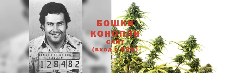 shop клад  Владивосток  Шишки марихуана THC 21% 